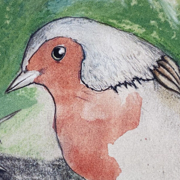 Txantxangorria - Image 3